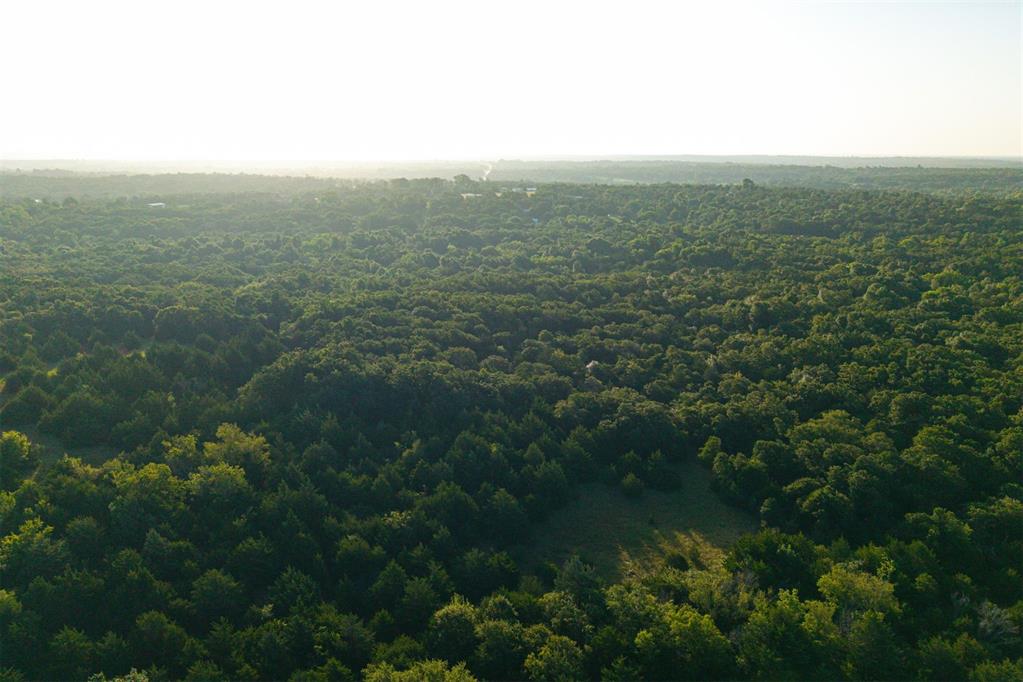 260011050 Elk Township