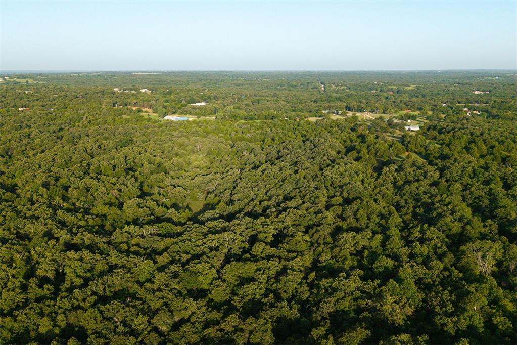 260011050 Elk Township