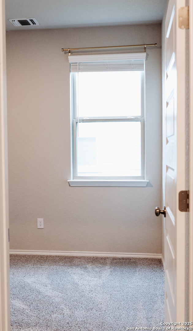 122 Canopy Oak