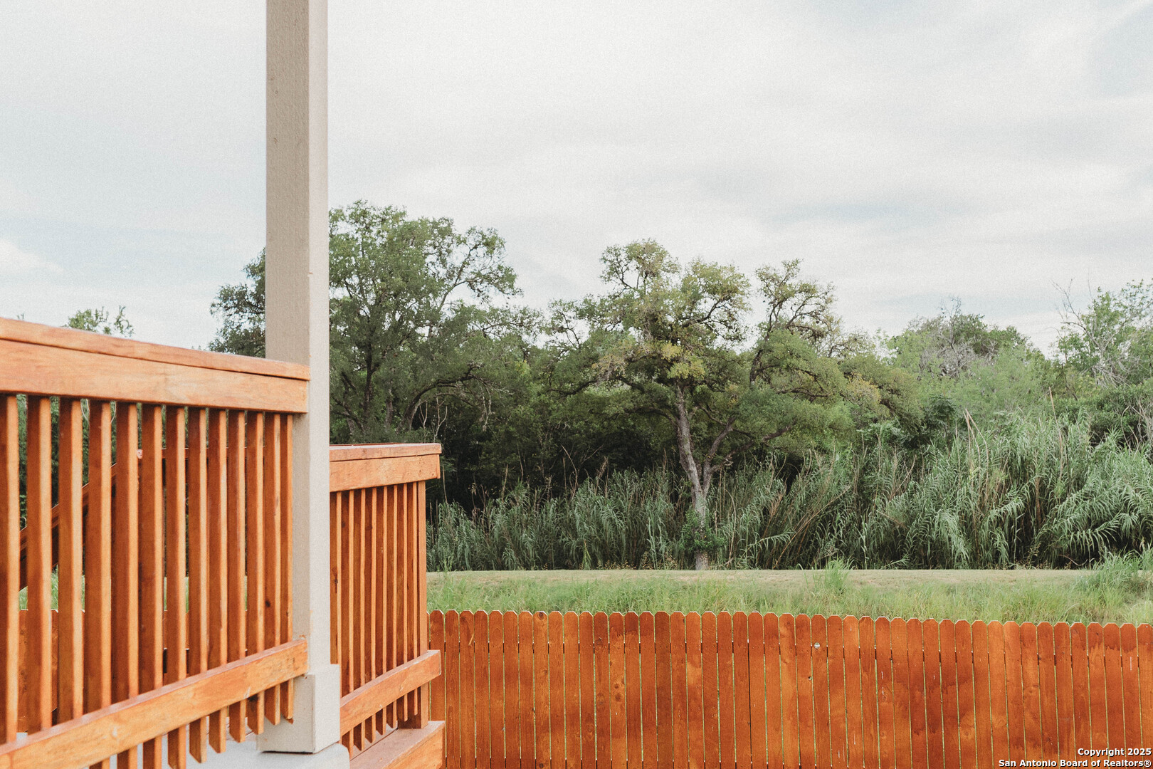 122 Canopy Oak