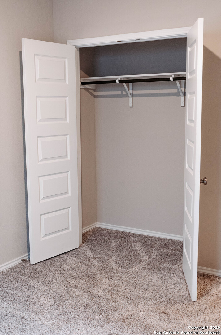 122 Canopy Oak