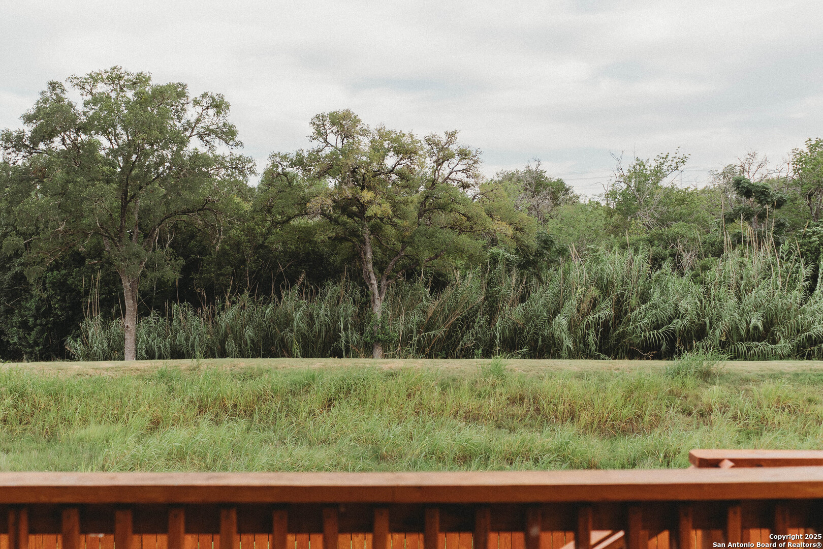 122 Canopy Oak