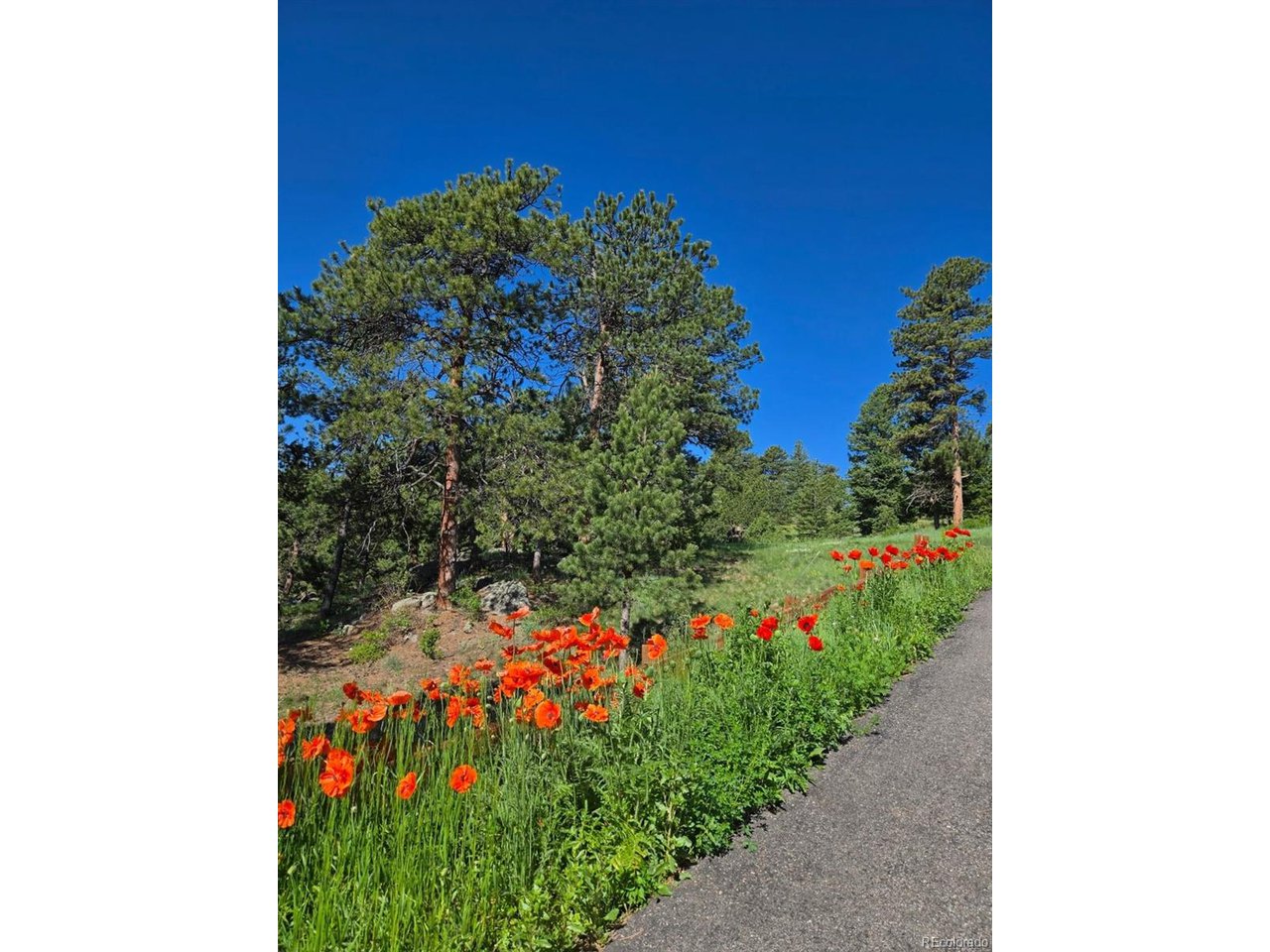 677 Sky Trail Rd