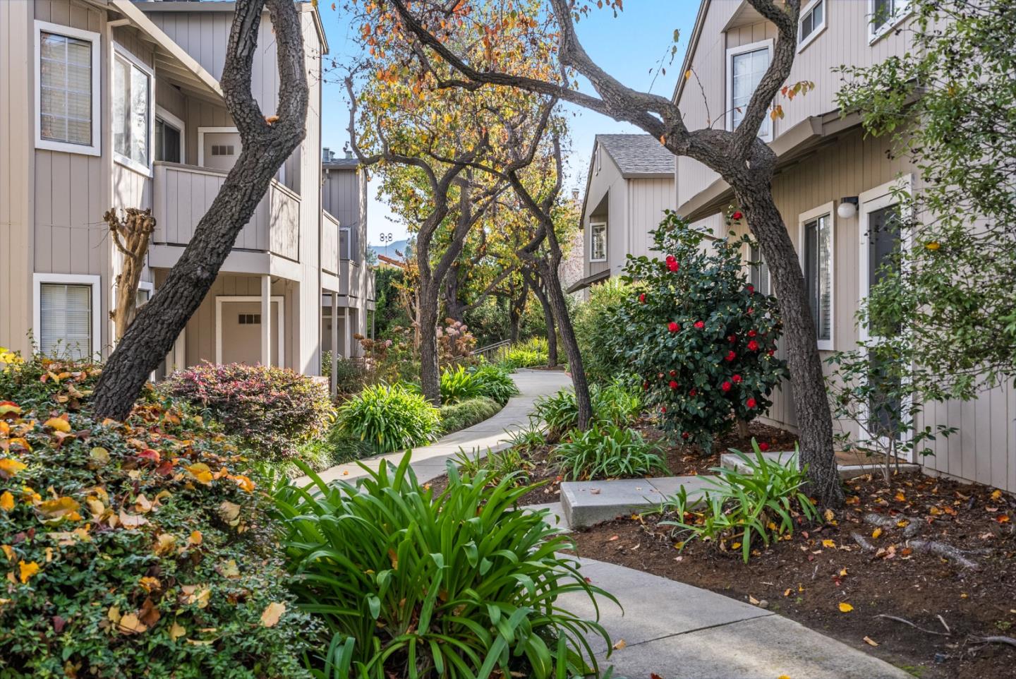 3493 Wine Barrel Way