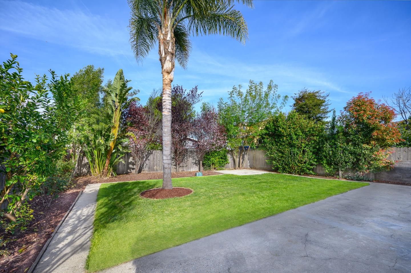 236 Wisteria Drive