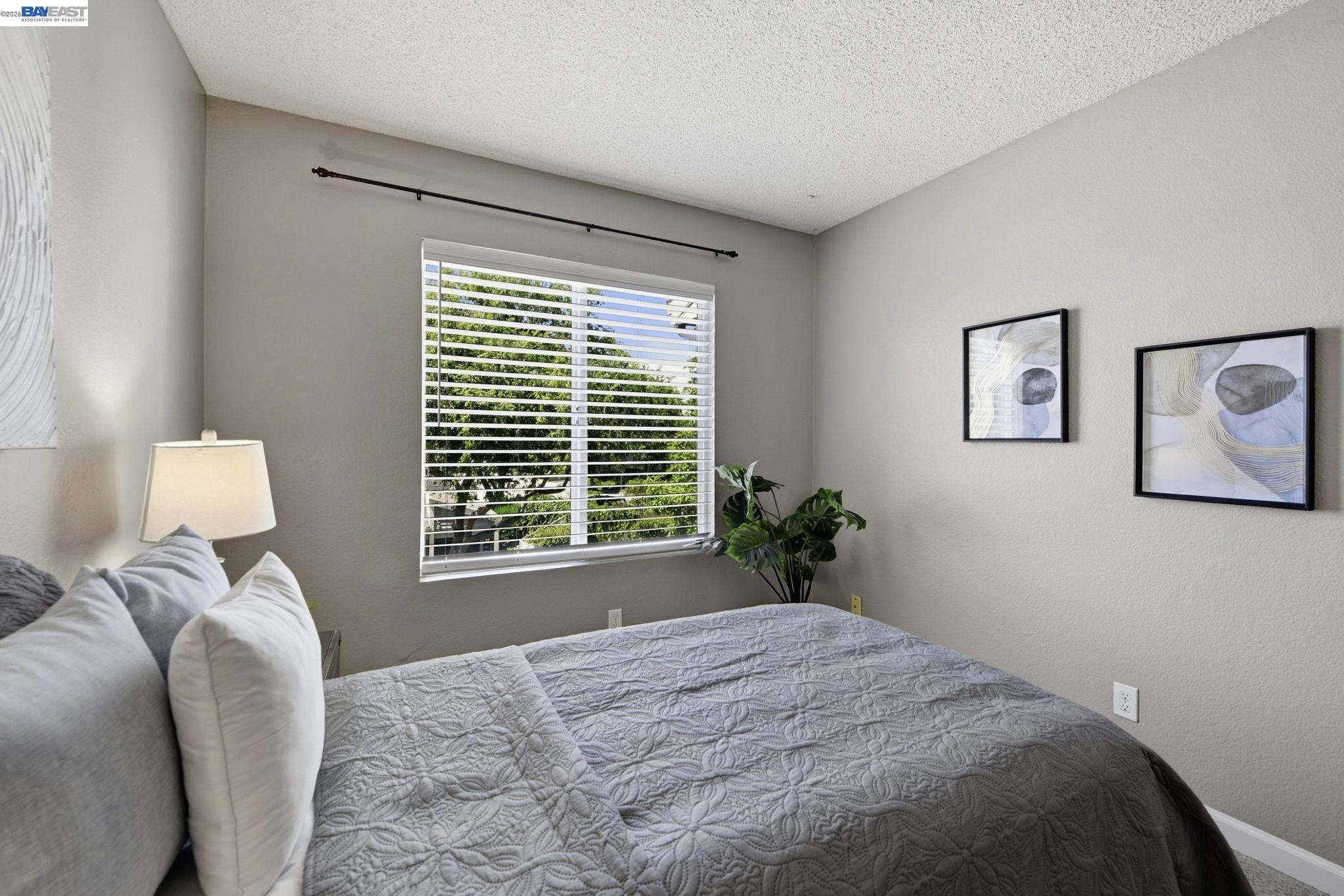 37200 Meadowbrook Cmn # 203