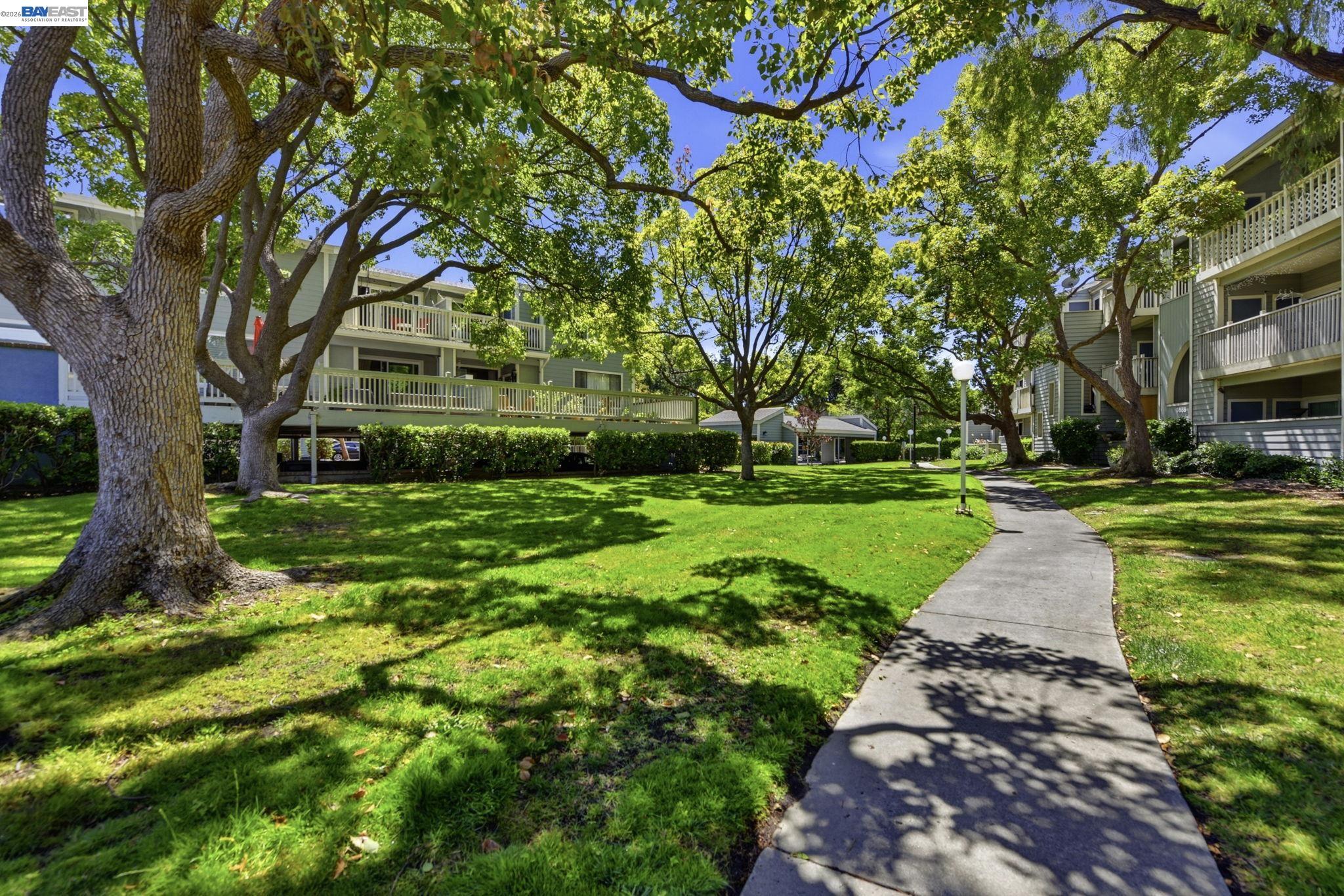 37200 Meadowbrook Cmn # 203