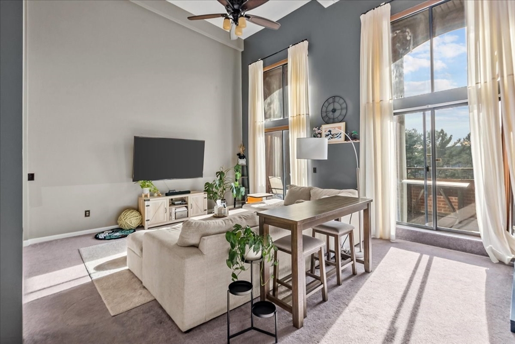 96 Old Colony Ave # 341