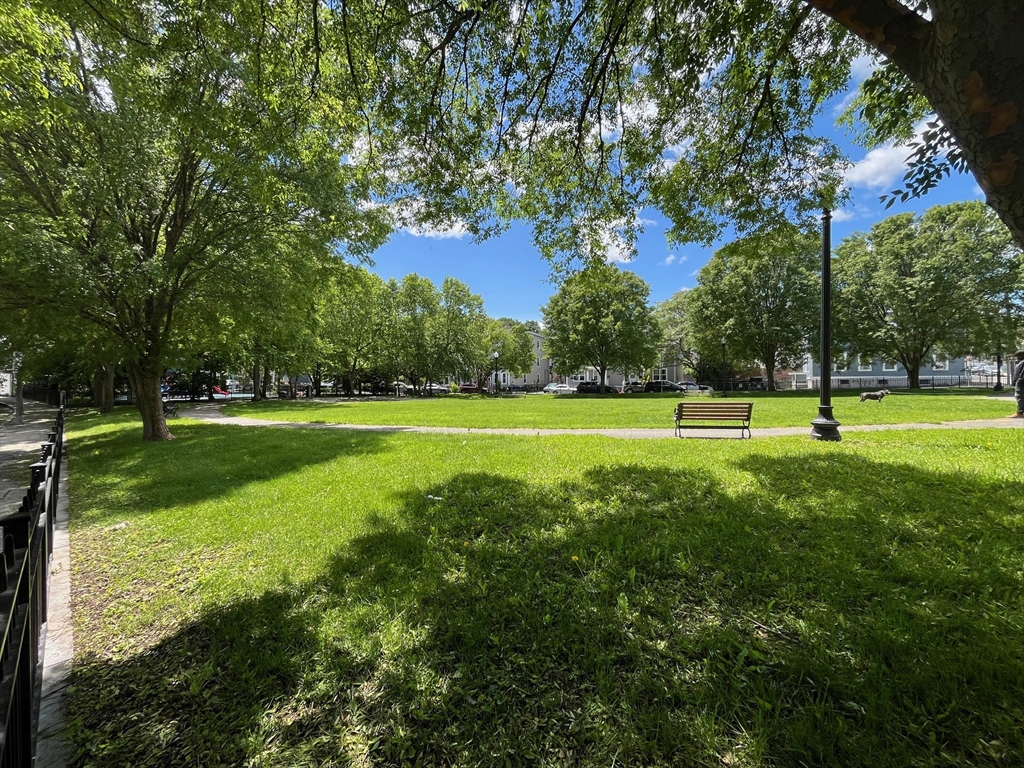 2 Woodville Park # 2