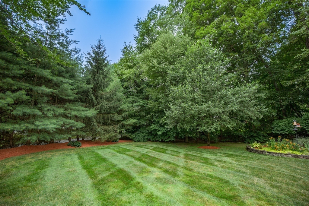 70 Tennyson Dr
