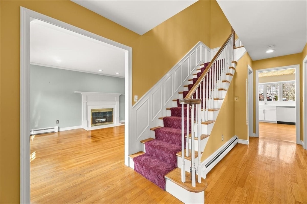 19 Crapo St