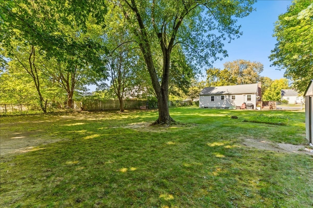 55 Coral St