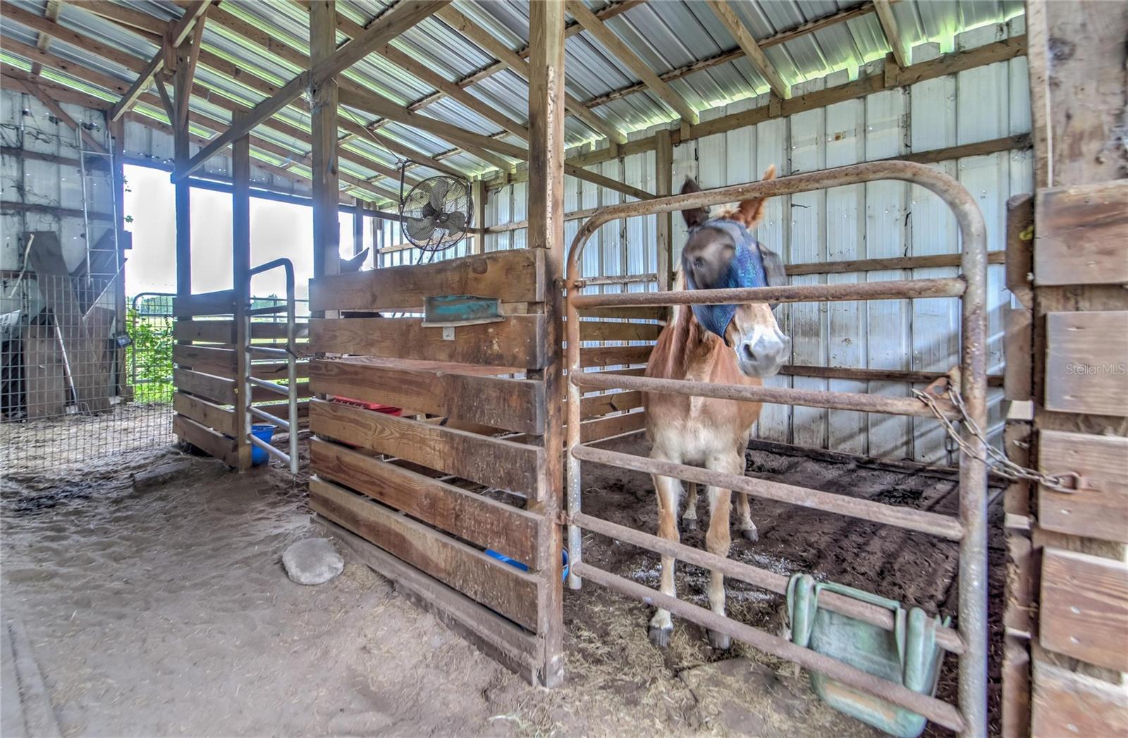 19320 GRANGE HALL LOOP