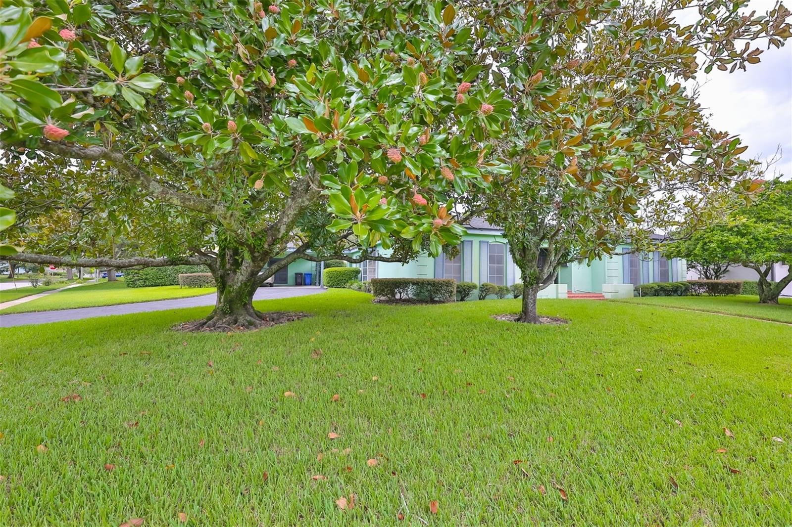 10902 CARROLLWOOD DR