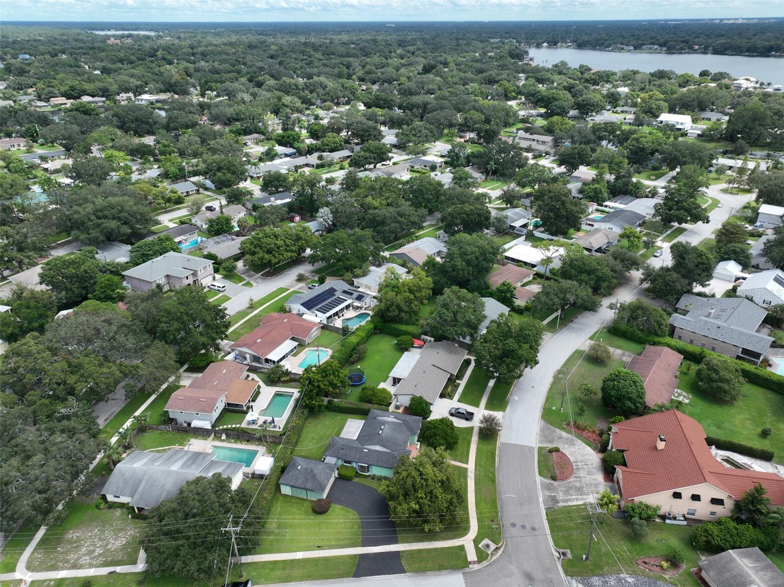 10902 CARROLLWOOD DR