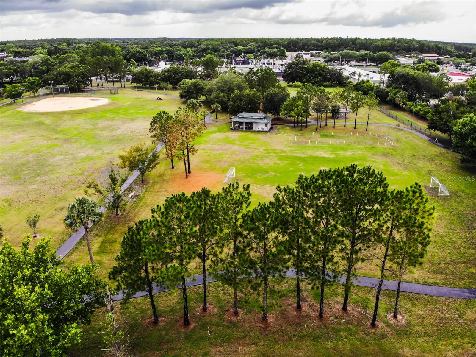 10902 CARROLLWOOD DR