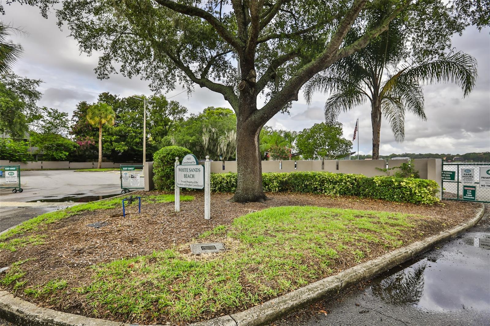 10902 CARROLLWOOD DR