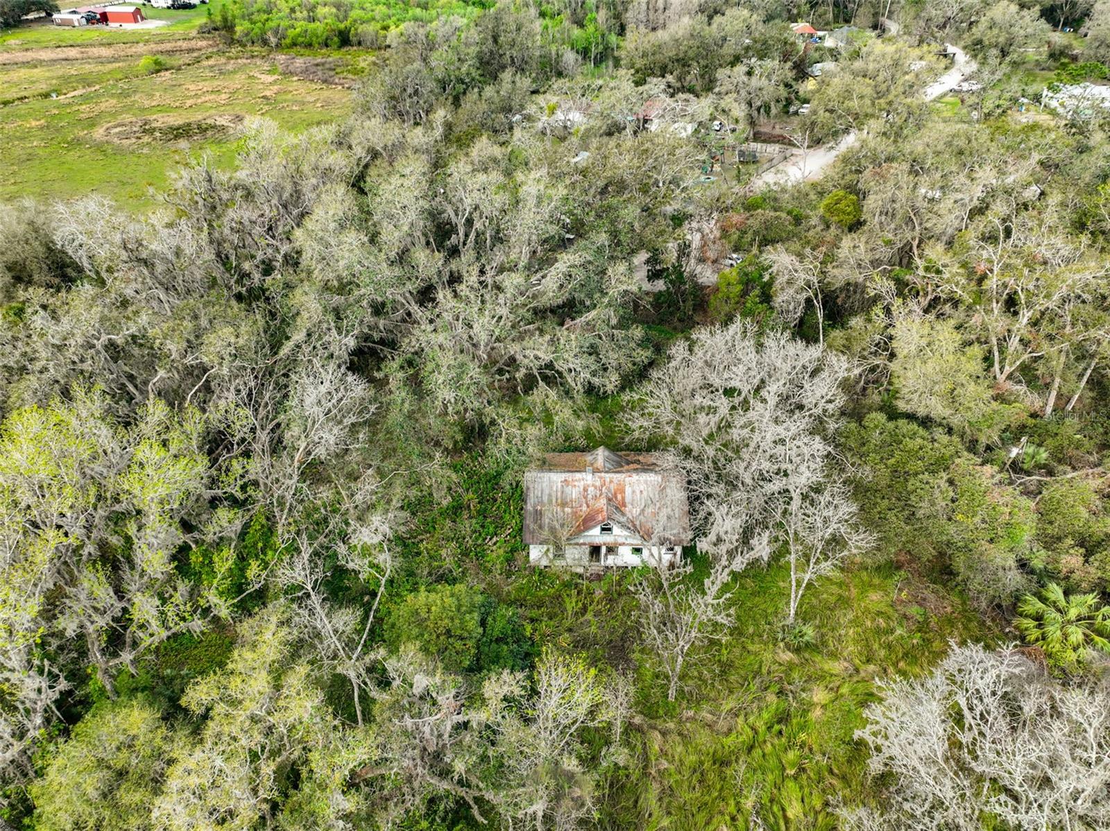 38506 HIGGINSON RD