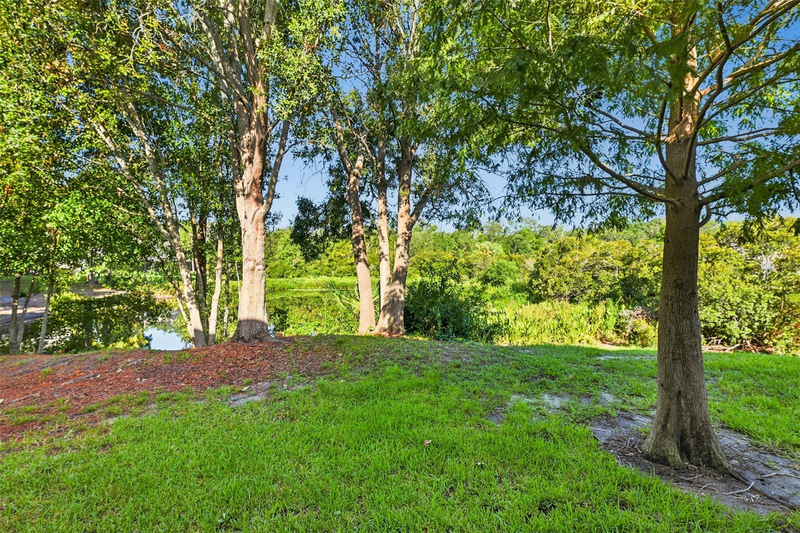 2109 WILD GRAPE PL
