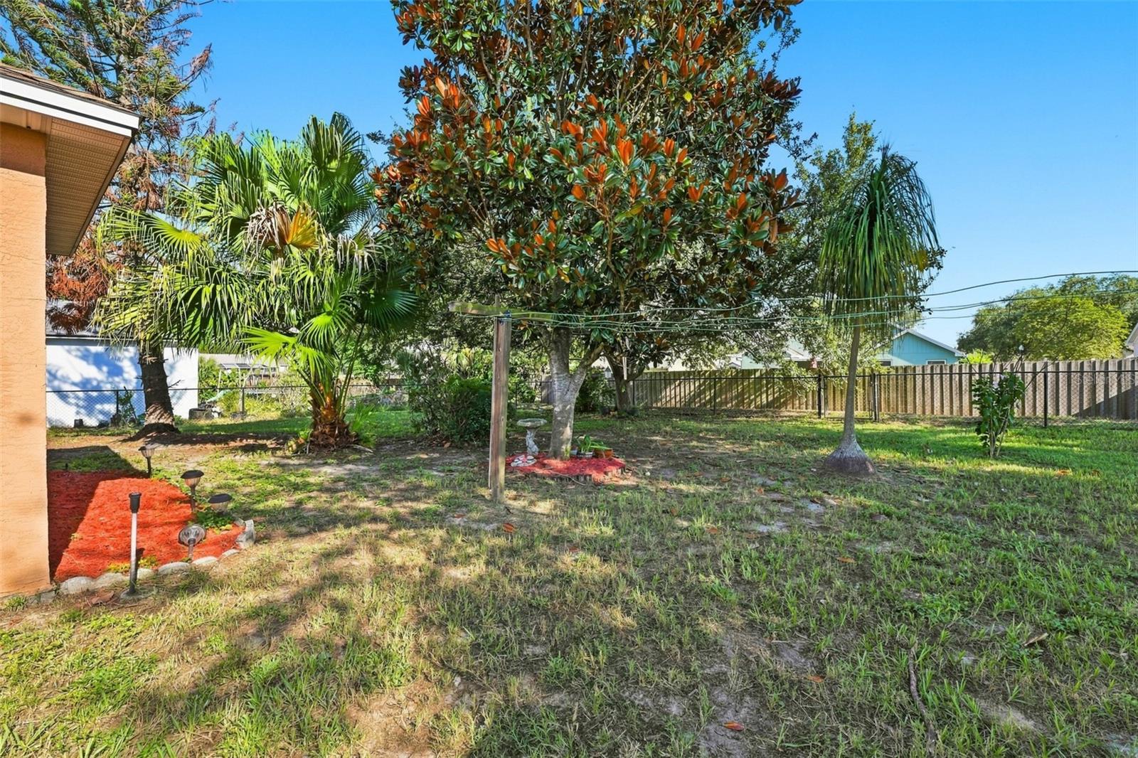 3152 OTTO DR
