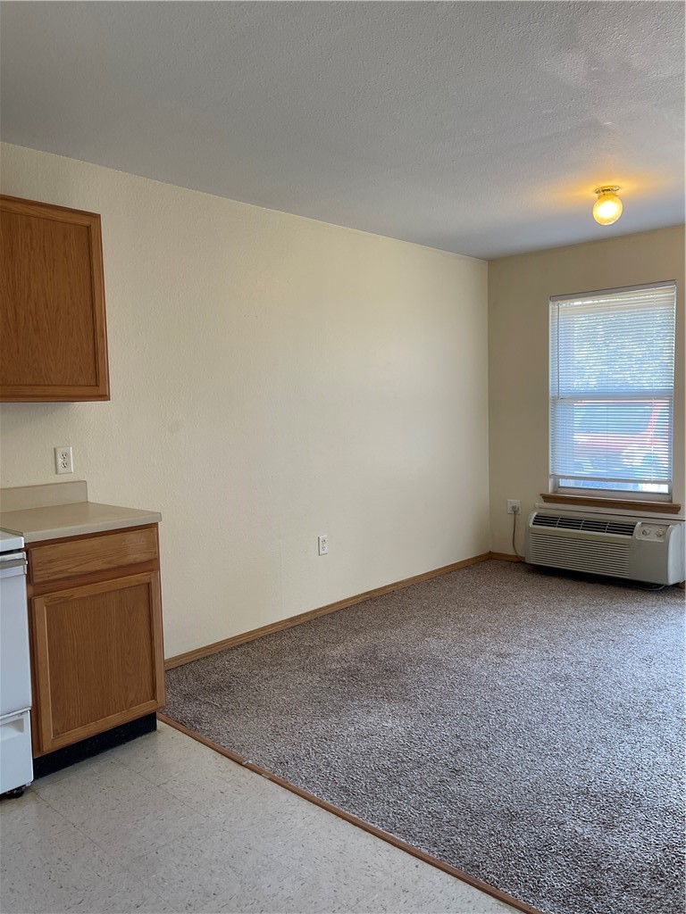 1635 W Neptune Street 8