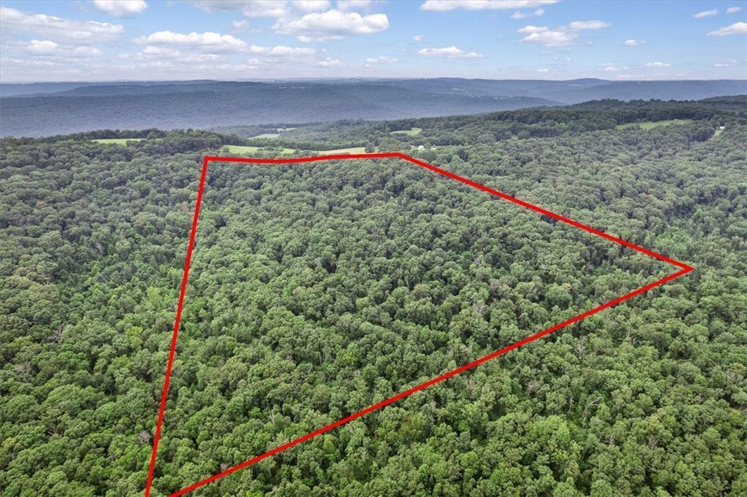 10347 Devils Den Road