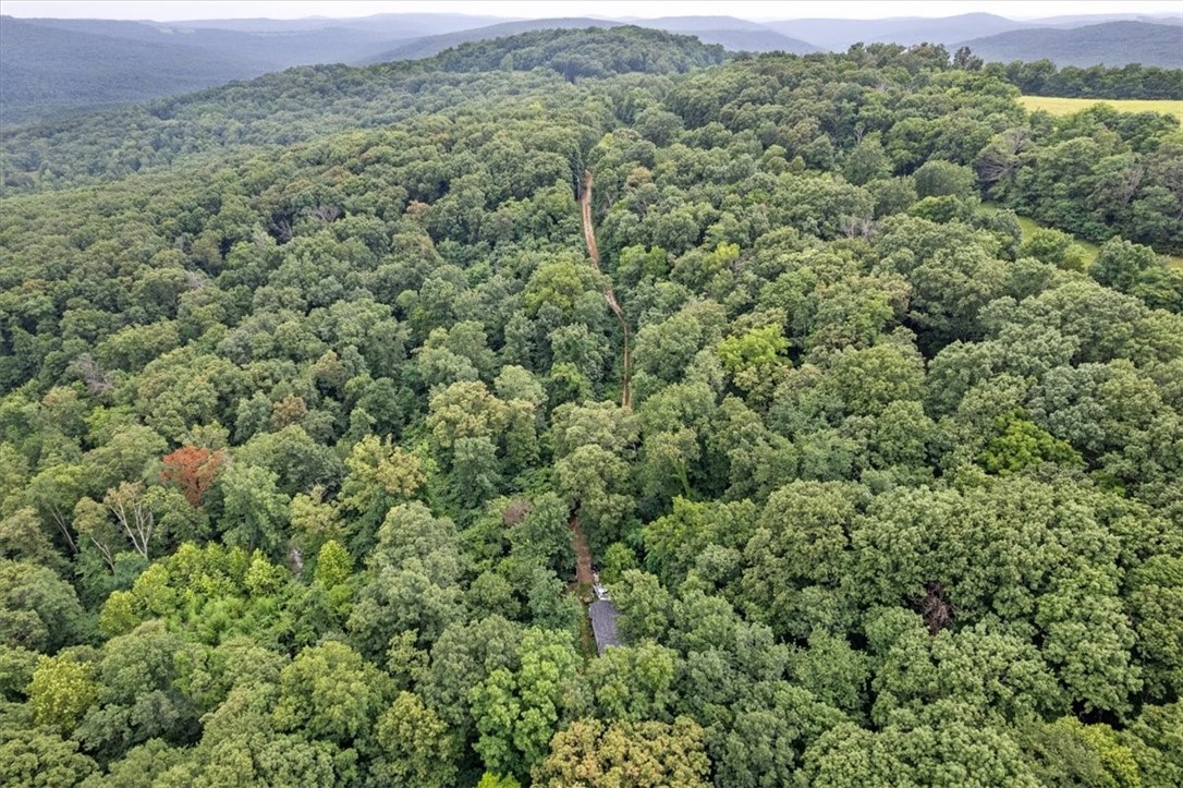 10347 Devils Den Road