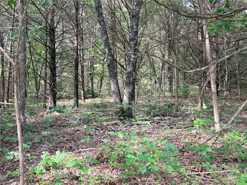 Lot 10 Seaton Drive