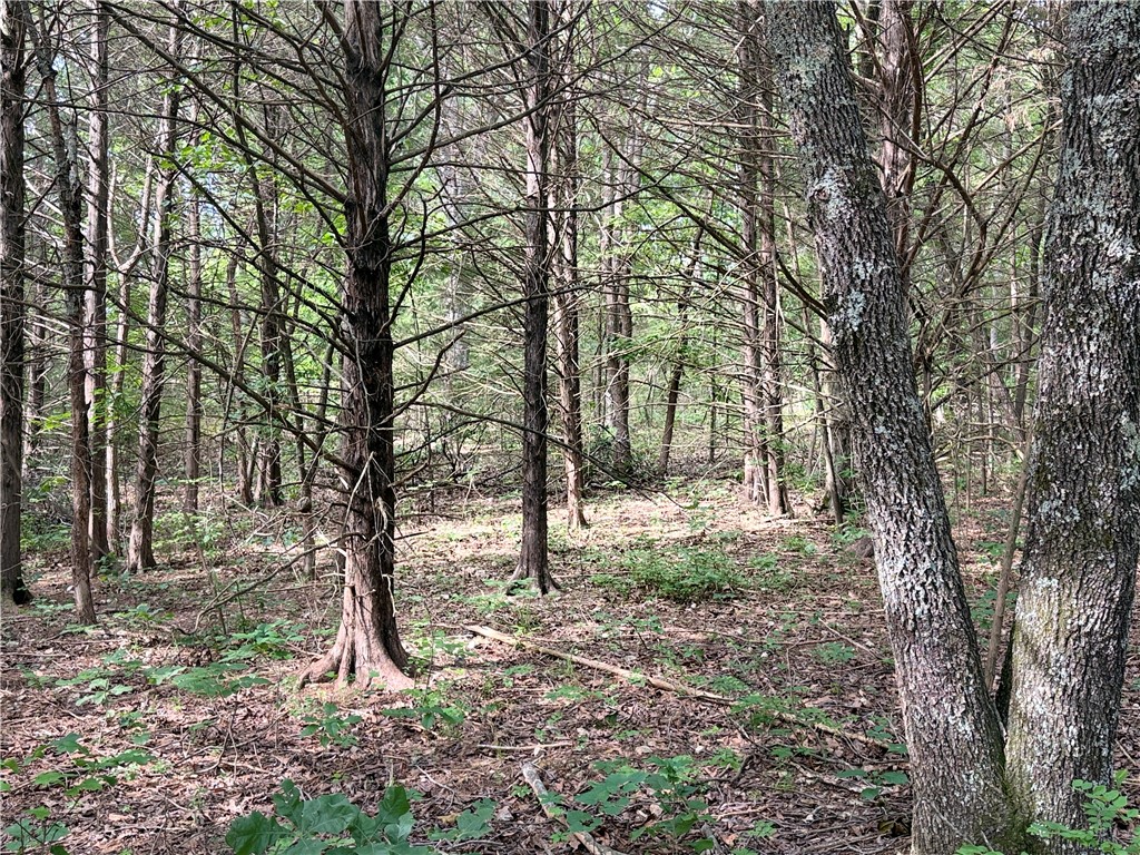 Lot 10 Seaton Drive