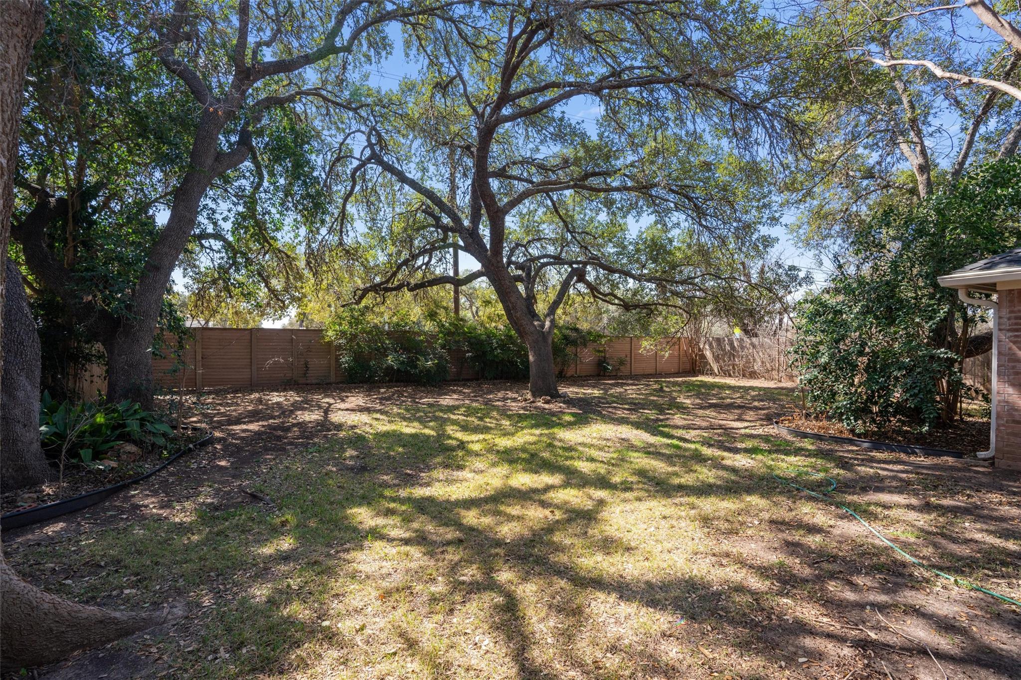 5009 Flaming Oak CV