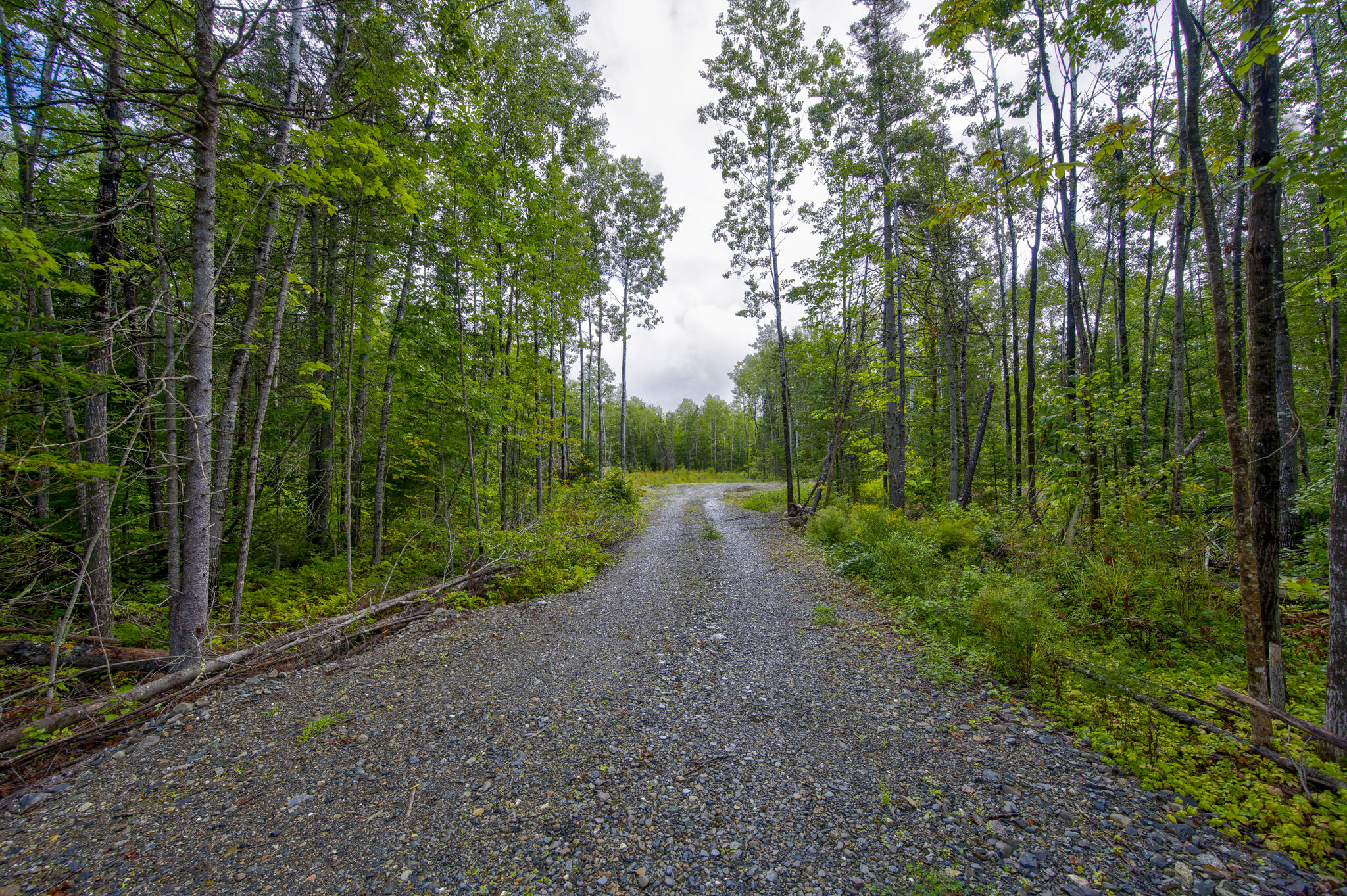 918 Old County Road