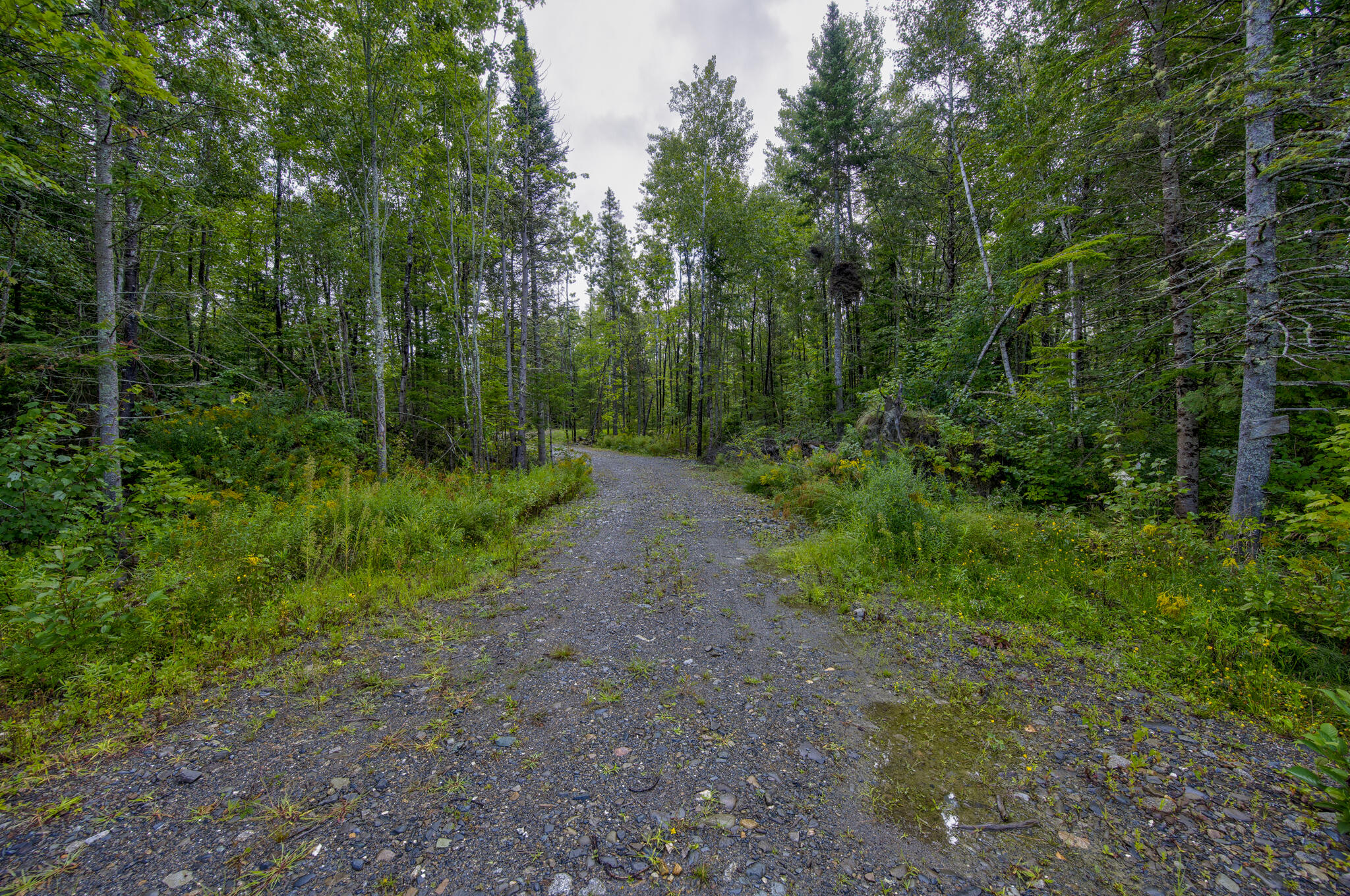 918 Old County Road