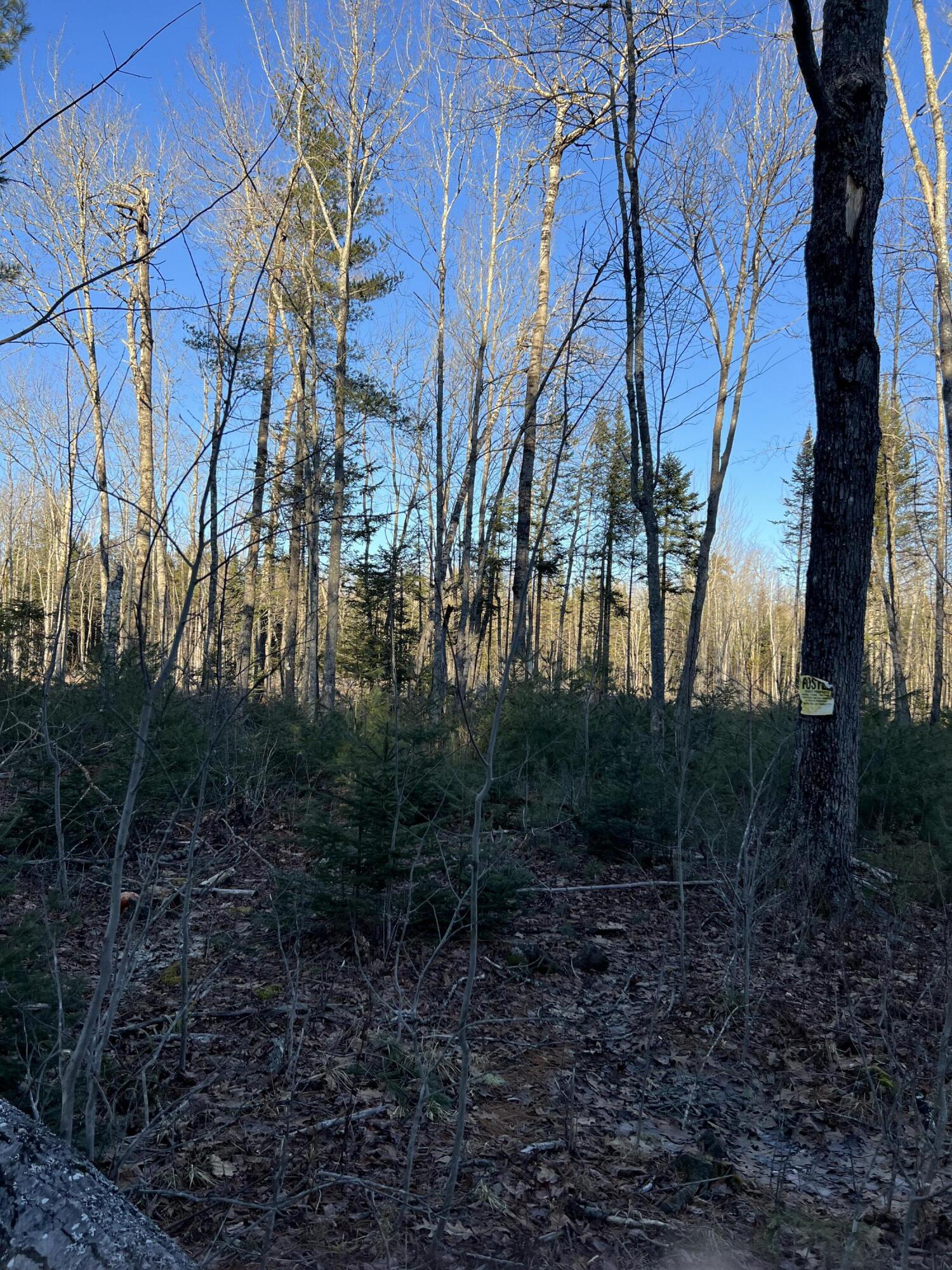 Lt#27-1-2 Chemo Pond Road