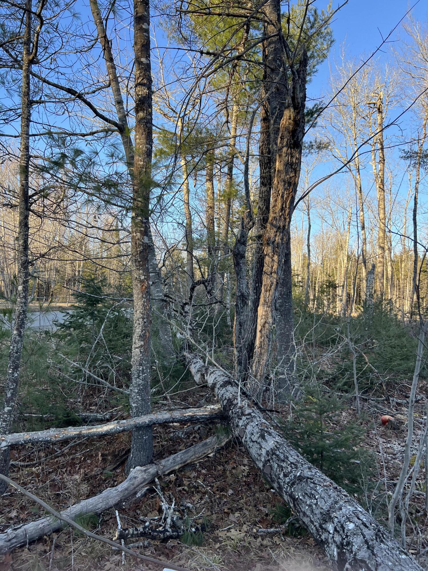 Lt#27-1-2 Chemo Pond Road