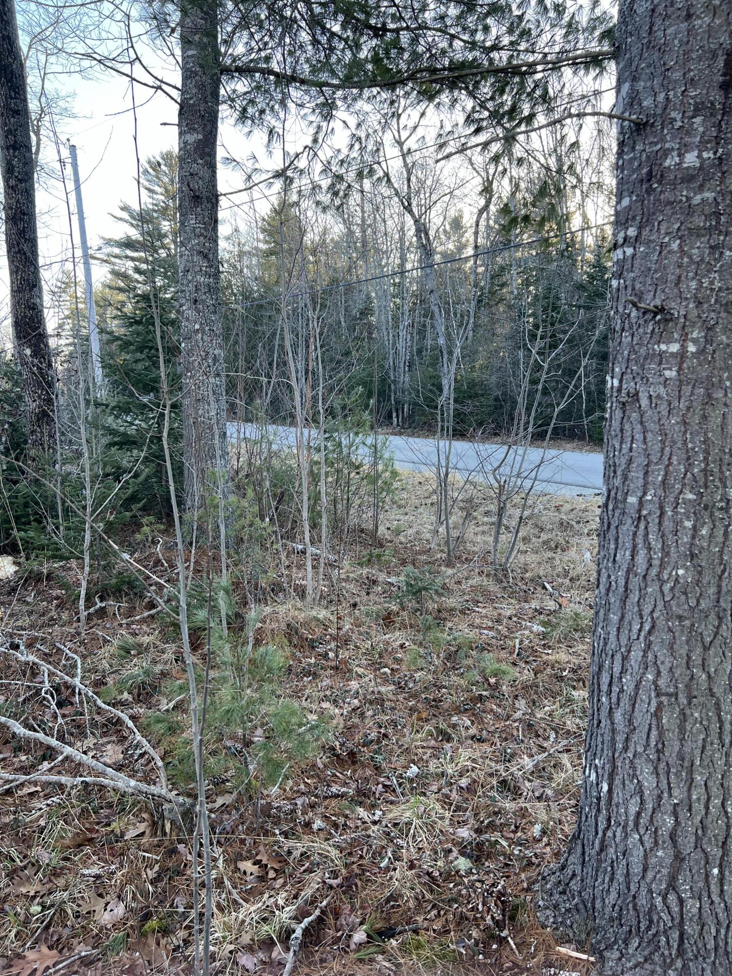 Lt#27-1-2 Chemo Pond Road