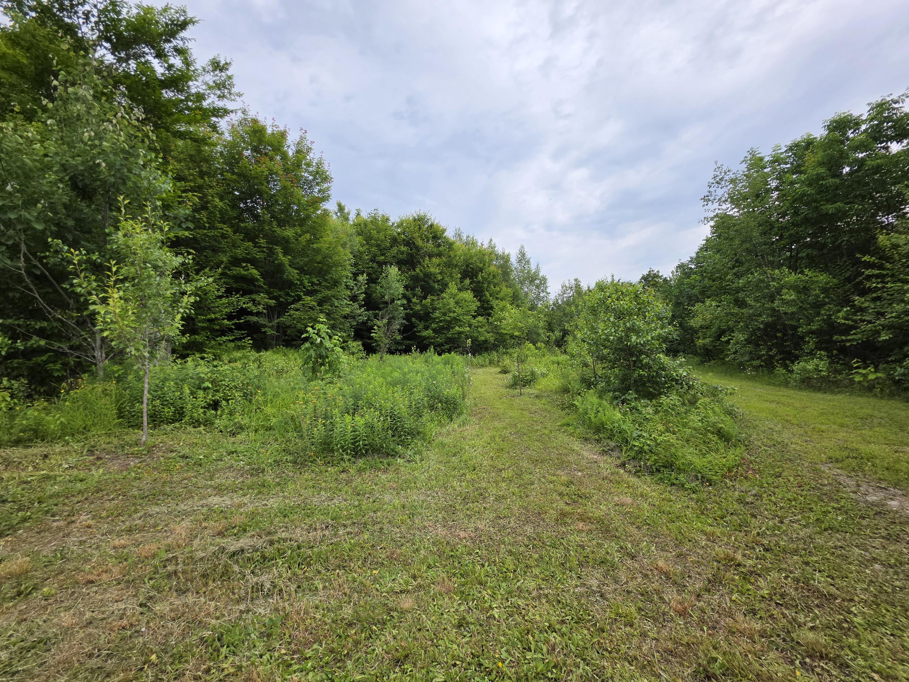 Lot 30 Rosewood Haven, Prentiss Twp T7 R3 NBPP