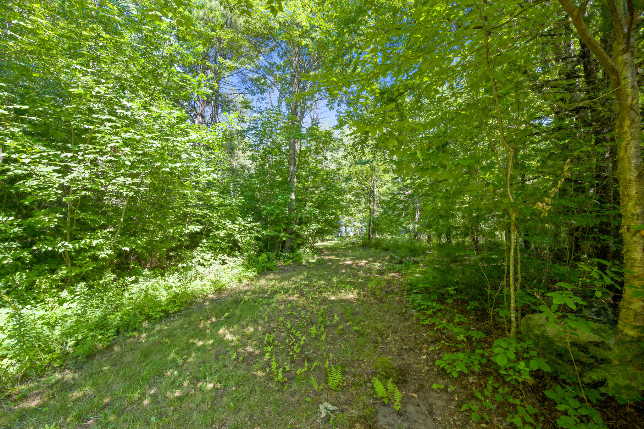 1149 Avenue Road