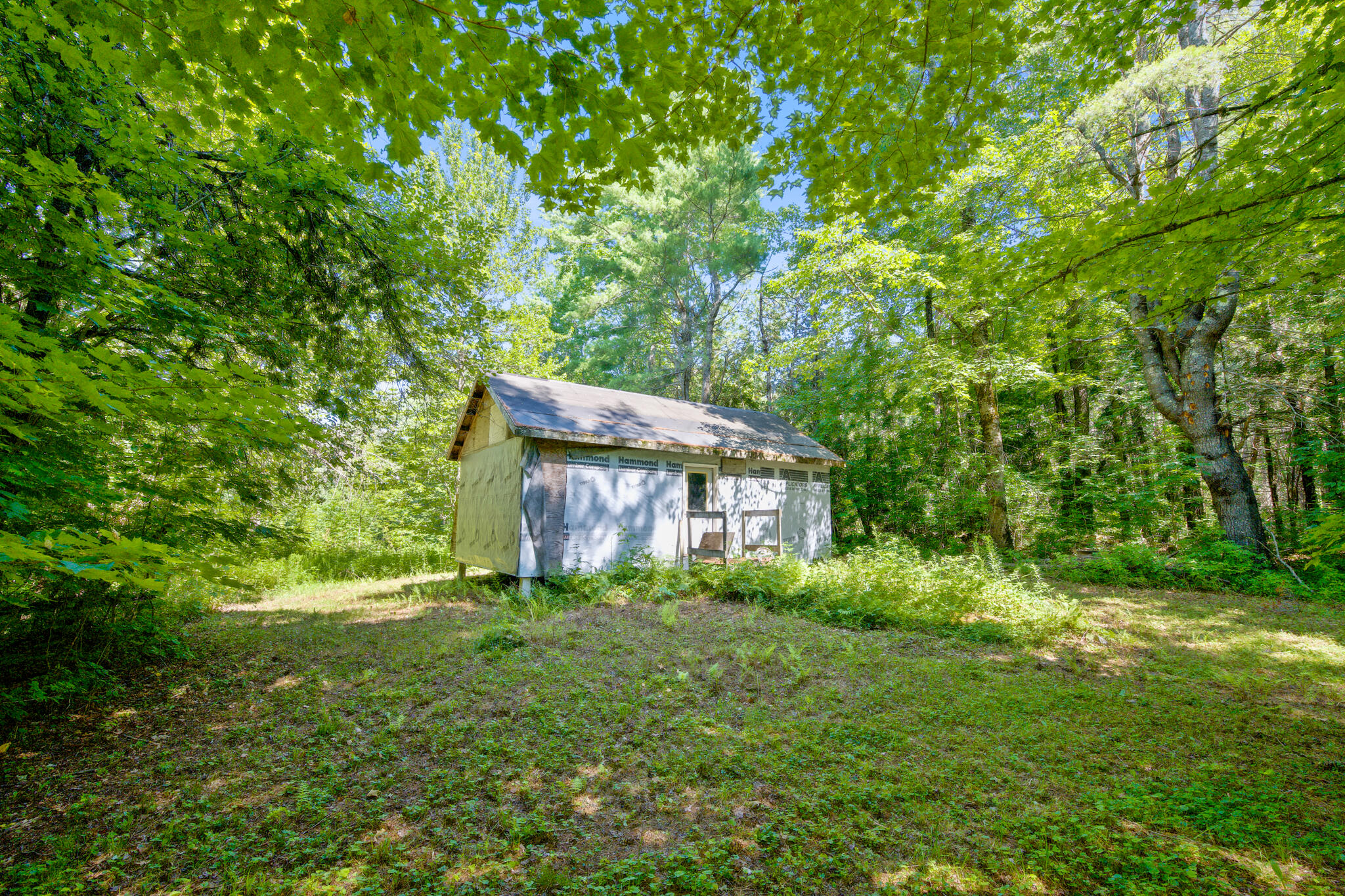 1149 Avenue Road