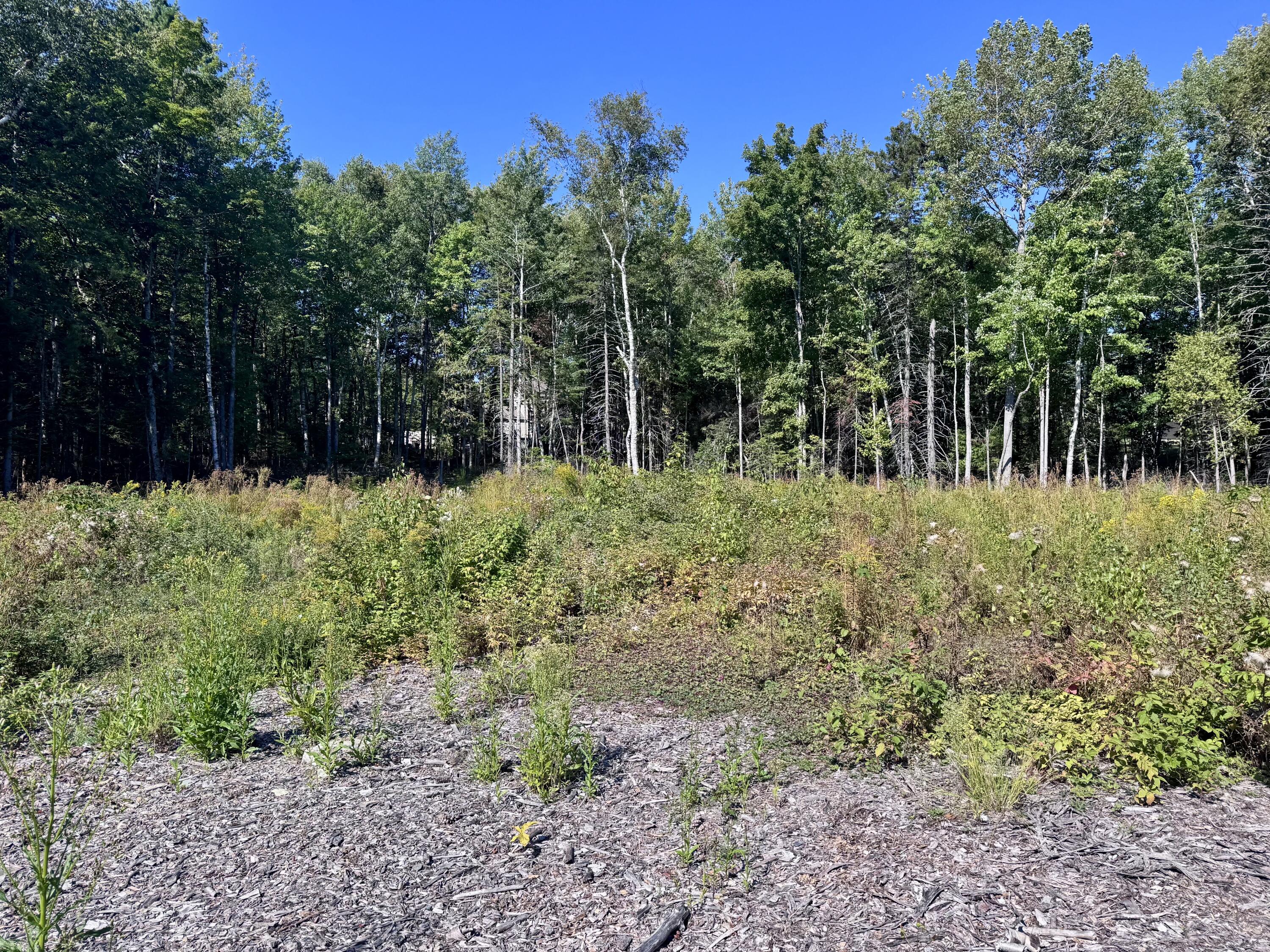 Lot 25 Pinetree Road