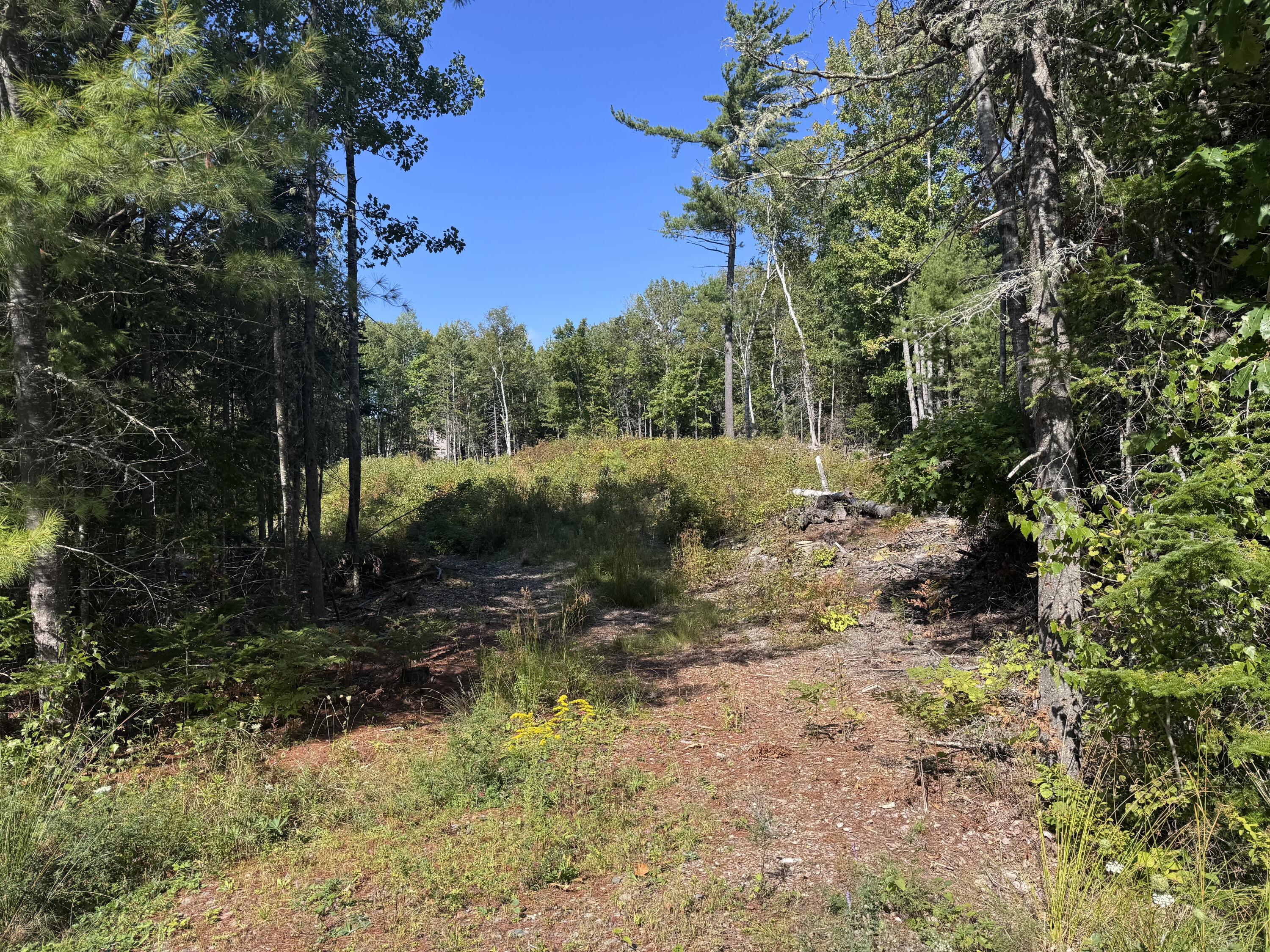 Lot 25 Pinetree Road