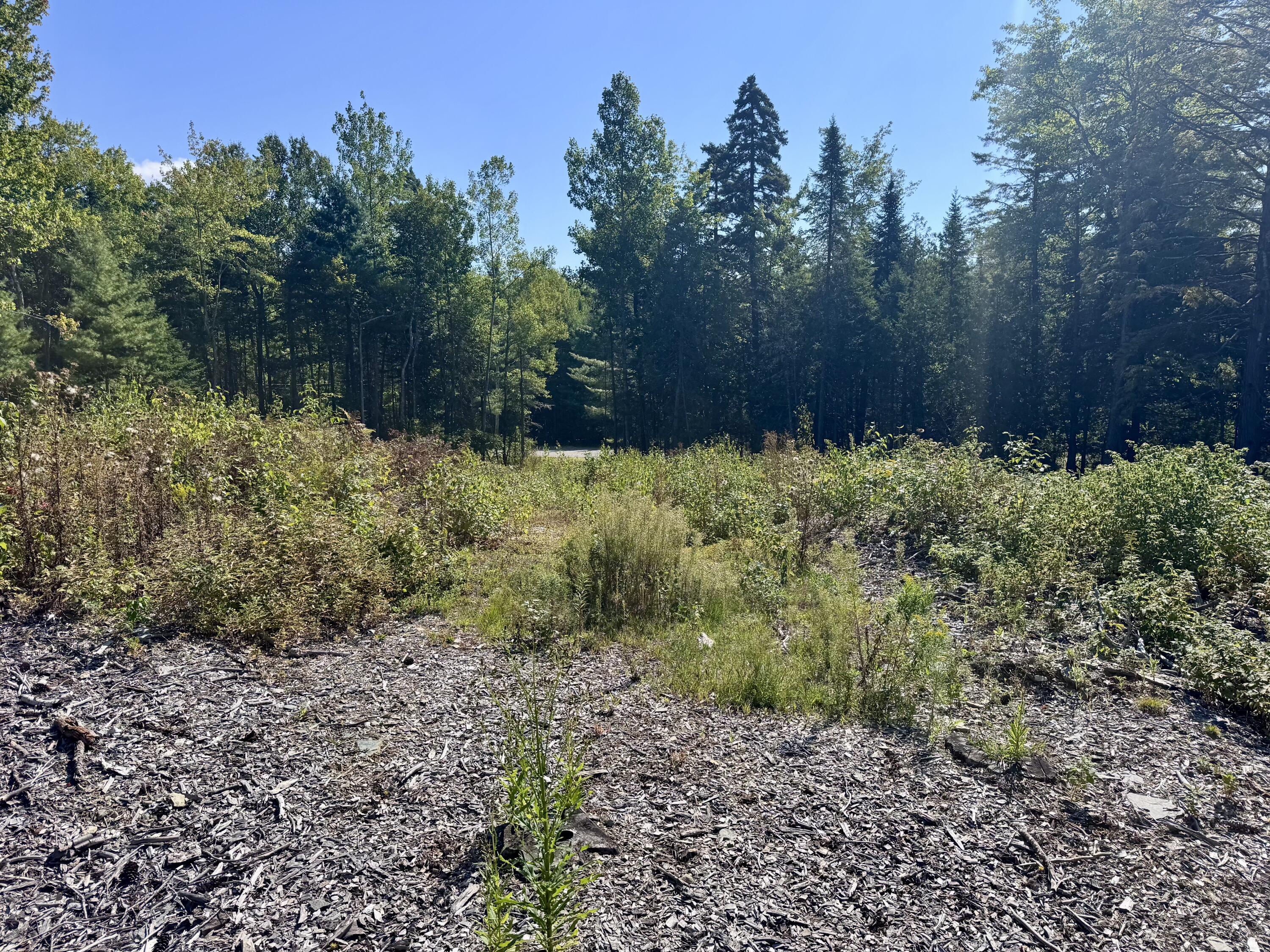 Lot 25 Pinetree Road