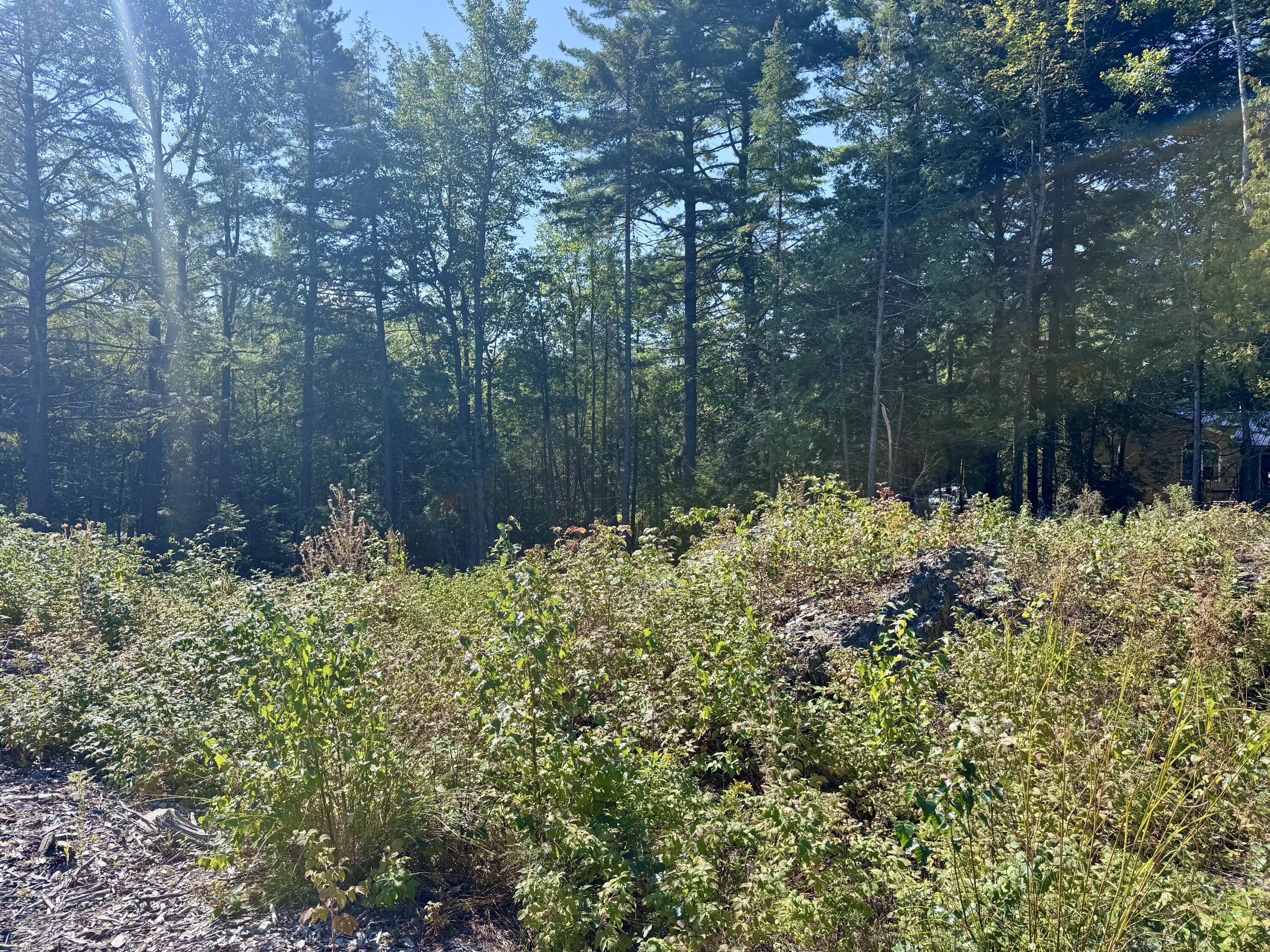 Lot 25 Pinetree Road