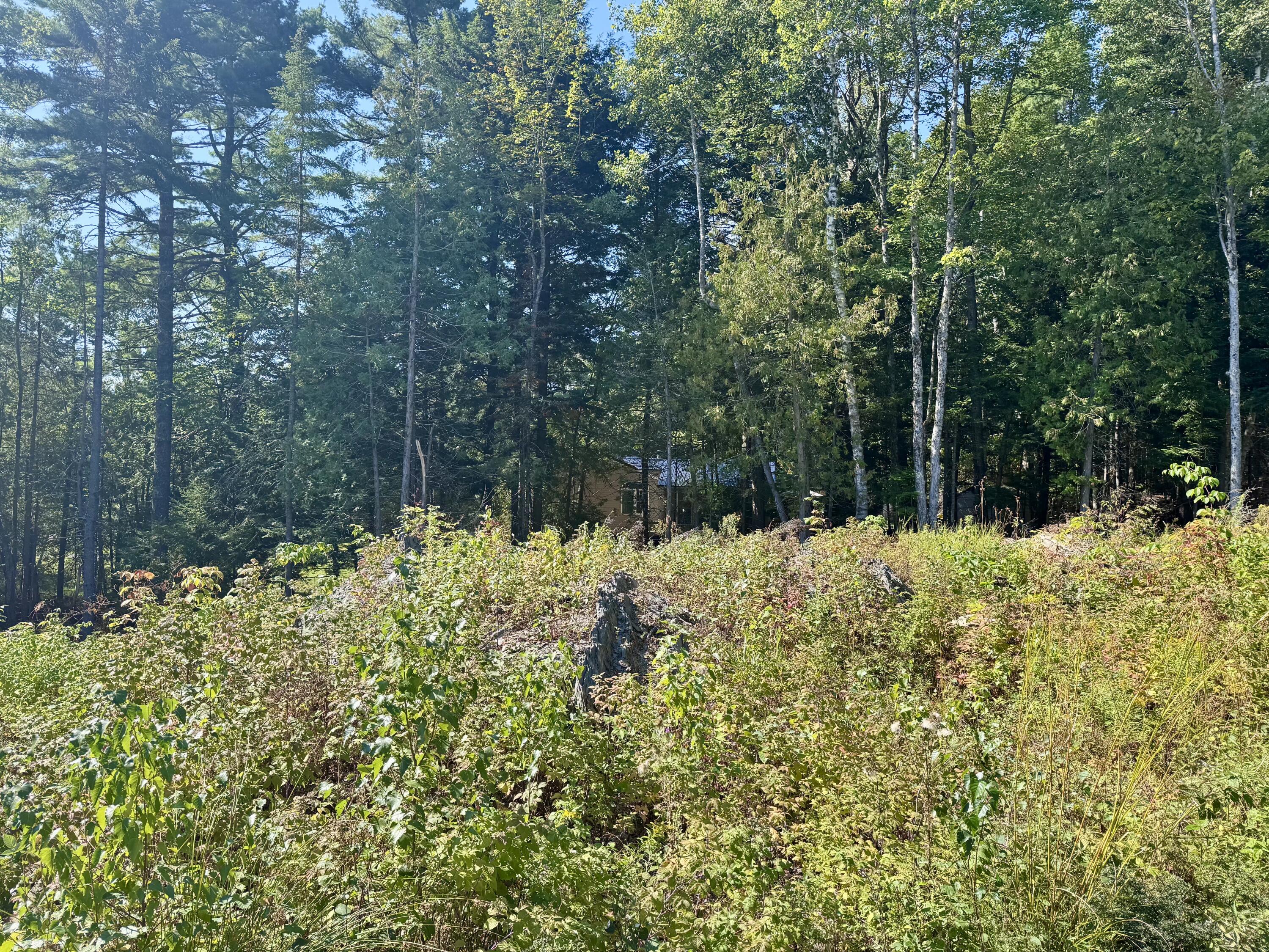 Lot 25 Pinetree Road