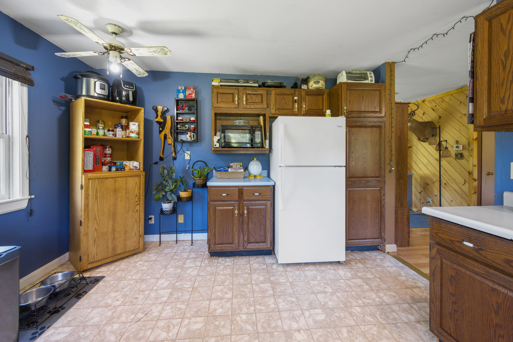 366 Valley Avenue Road