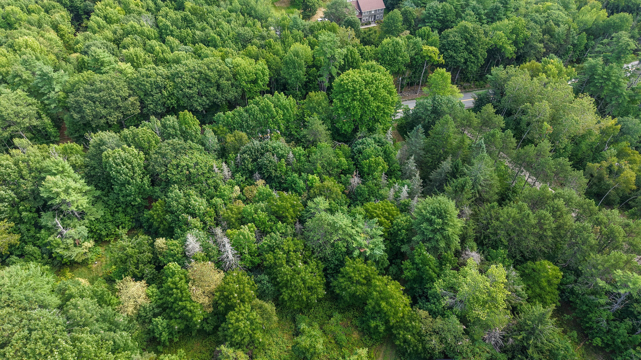86 Carmel Road S