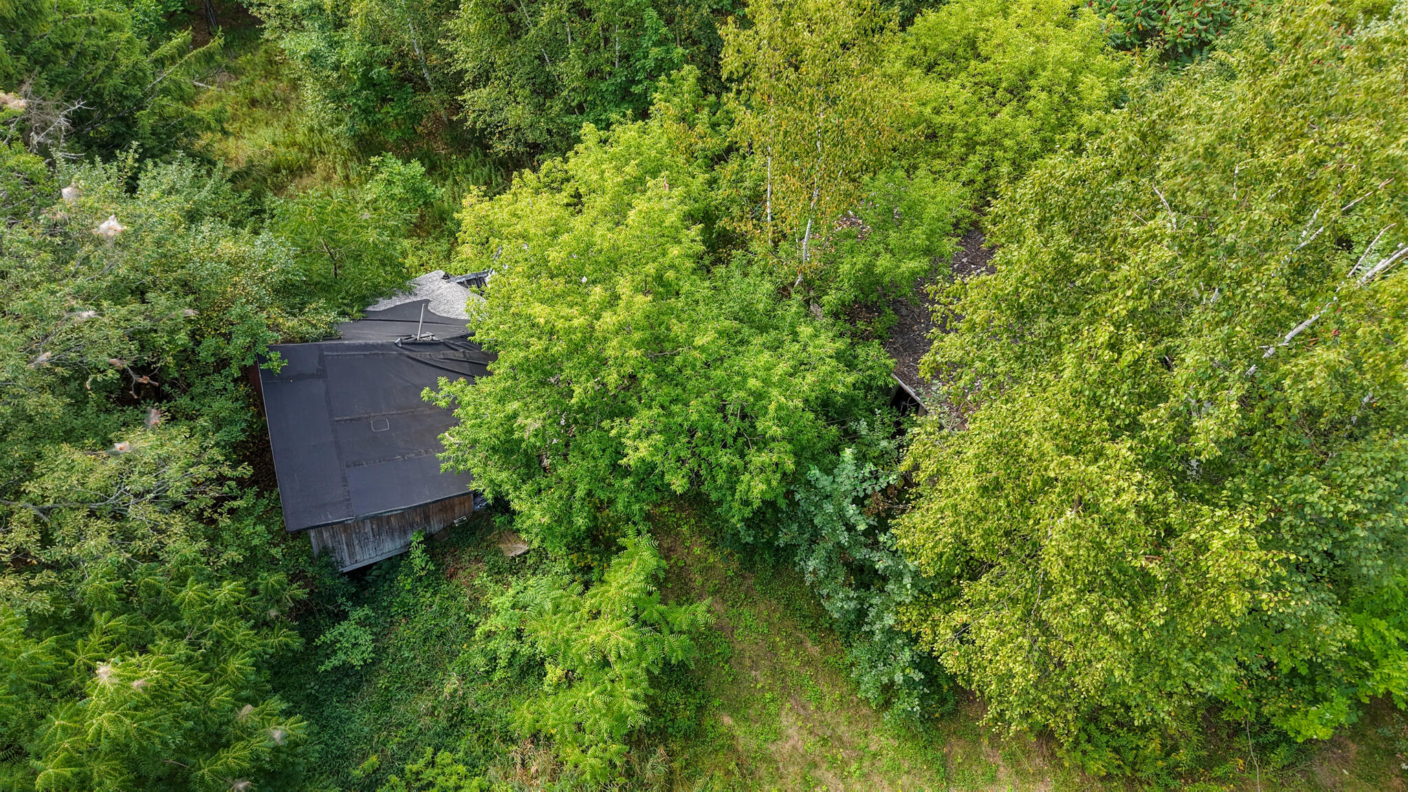 86 Carmel Road S