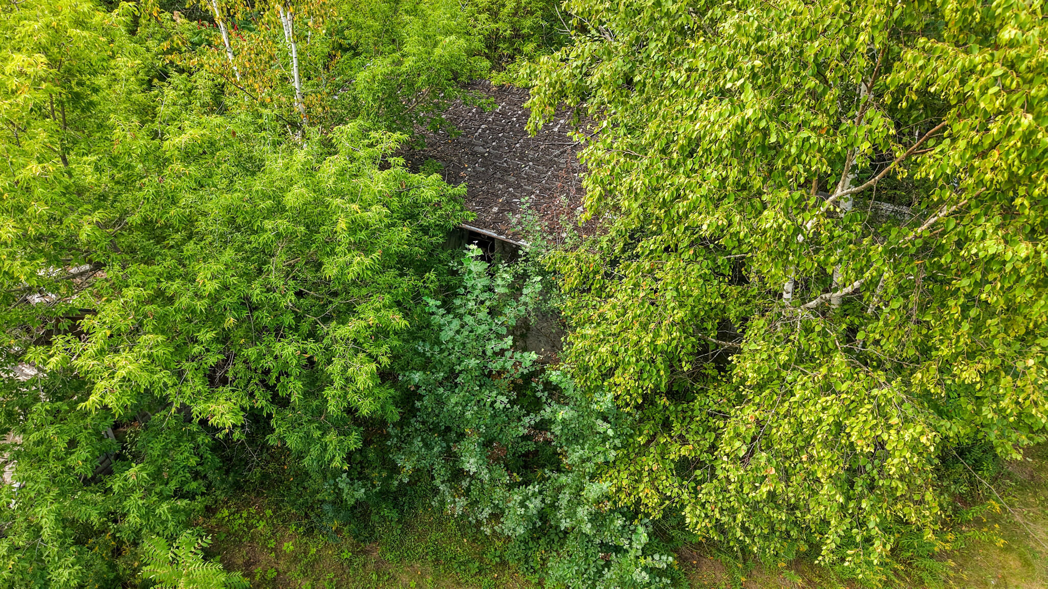 86 Carmel Road S