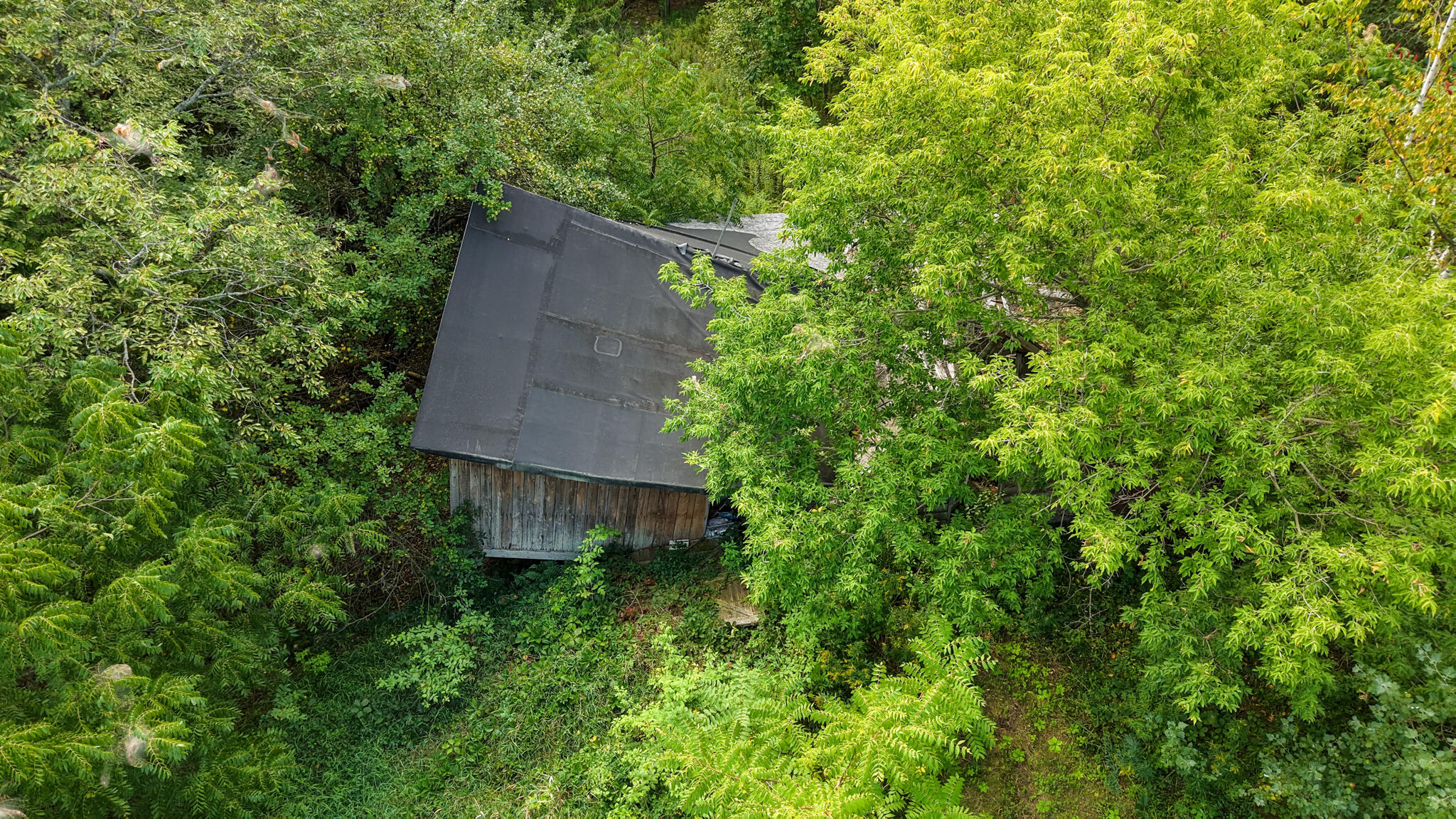 86 Carmel Road S