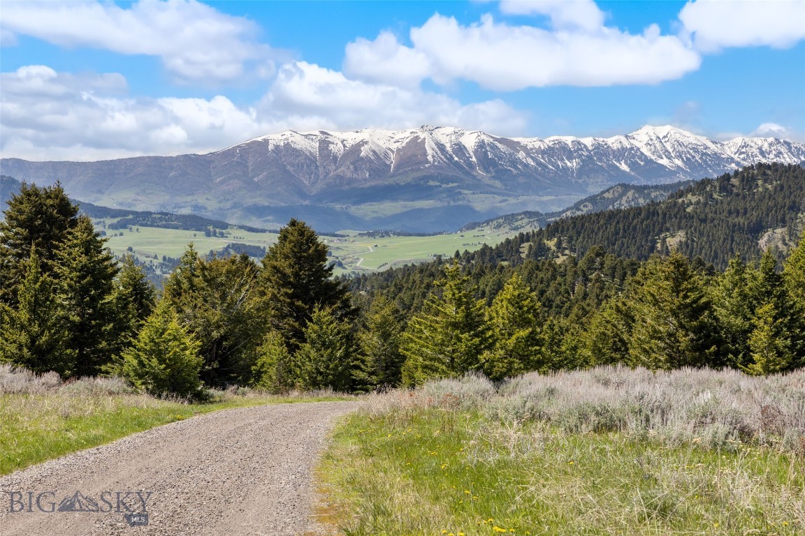 125 Rocky Mountain Meadows