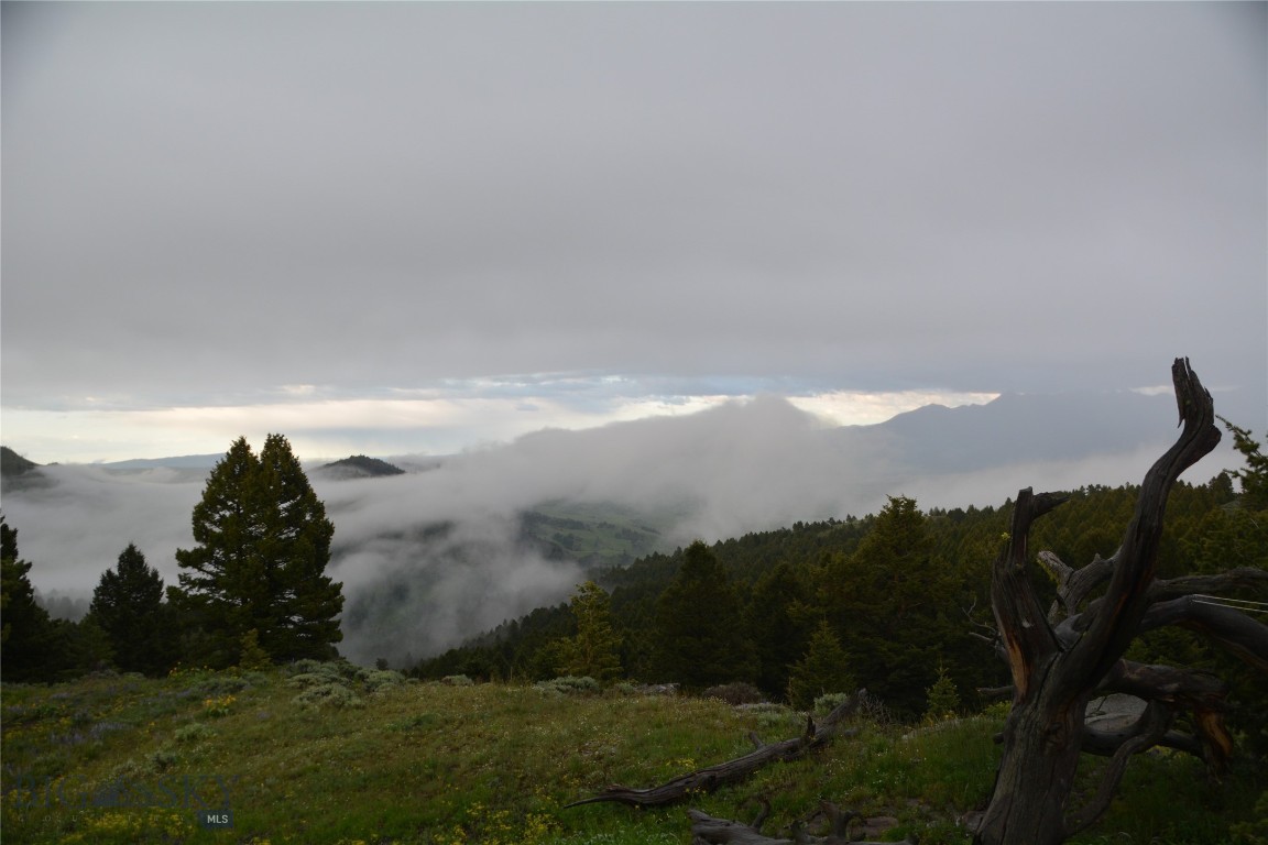 125 Rocky Mountain Meadows